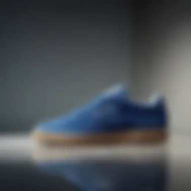 A Comprehensive Examination of the Reebok Club C 85 Blue Suede Summary