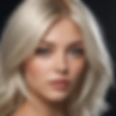 A selection of premium hair color products for platinum blonde