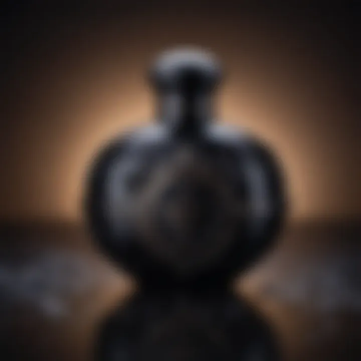 Luxurious Black Opium Fragrance Notes Infographic