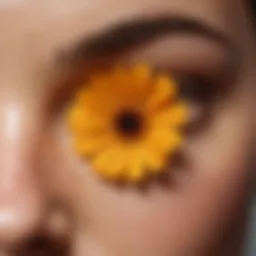 Calendula flower extract for sunburn relief