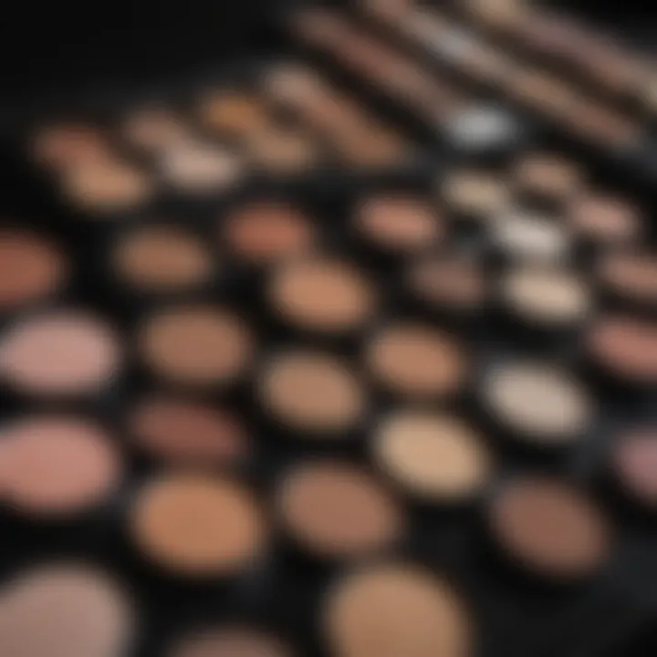 Carrie Underwood Foundation Makeup Palette