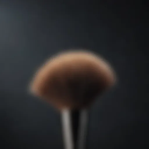 Chic Elf Brush with Angled Bristles