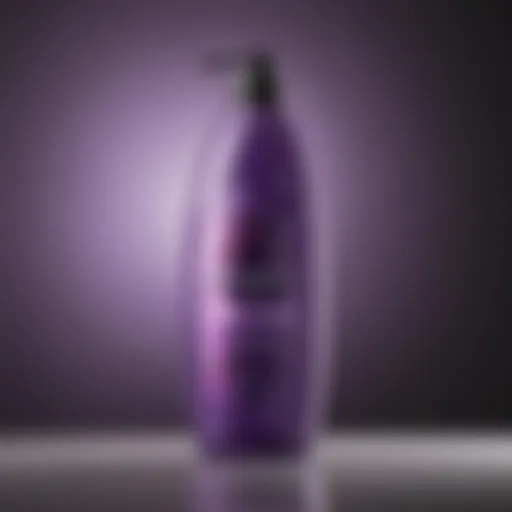 Bottle of Clairol Professional Purple Shampoo