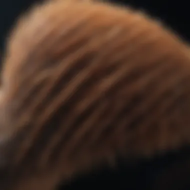 Close-up of high-quality bronzer brush bristles