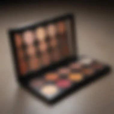 Makeup palette with various shades