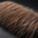 A close-up of hairbrush with hair strands tangled