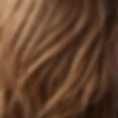 Close-up of hair texture after using beach club hair spray