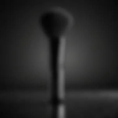 Sleek black contouring brush with precision bristles