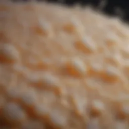 Close-up view of sugar wax texture