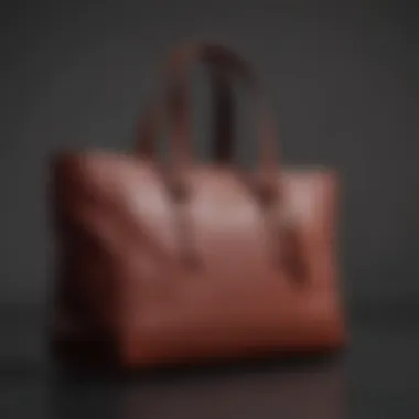 Functional Features Functional Features of Coach Field Tote 40