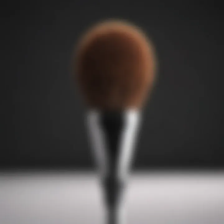 Hair dye application brush