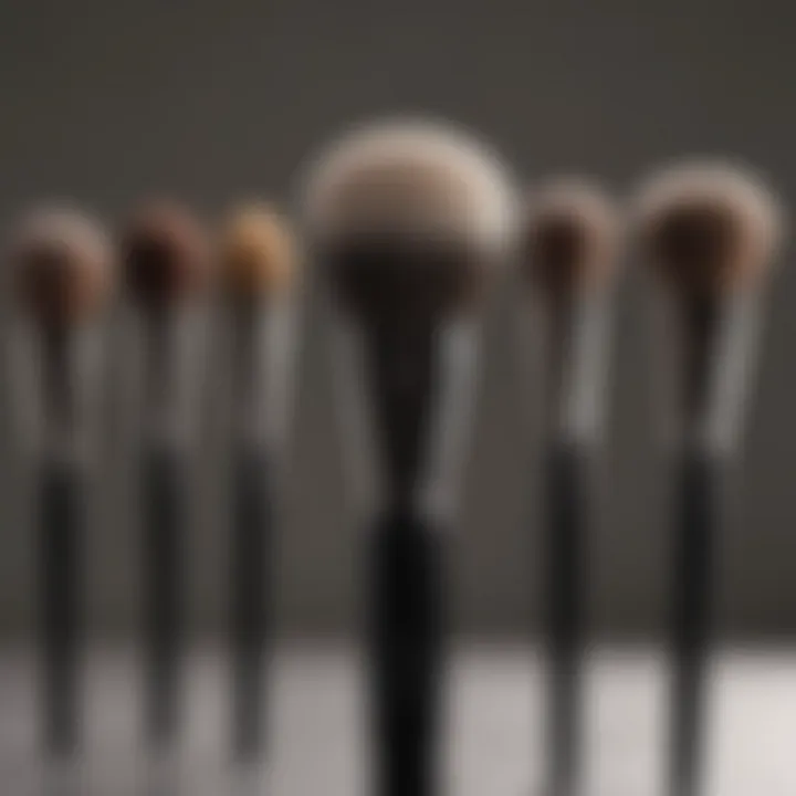 Hypoallergenic Makeup Brushes