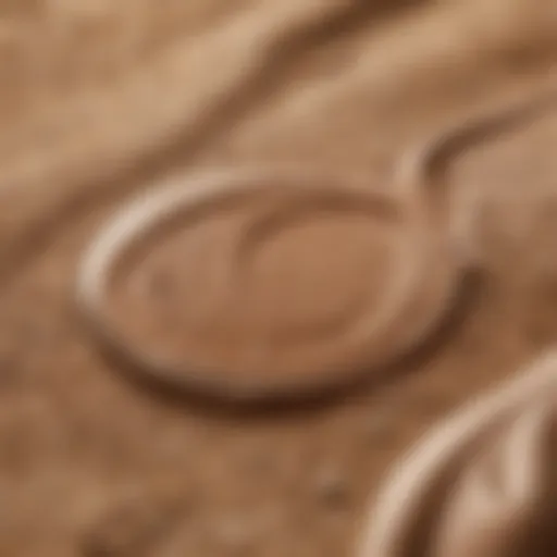 Close-up of IL MAKIAGE foundation texture