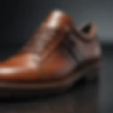 Innovative Leather Expander: A Must-Have Shoe Care Tool Innovative Shoe Care Tool