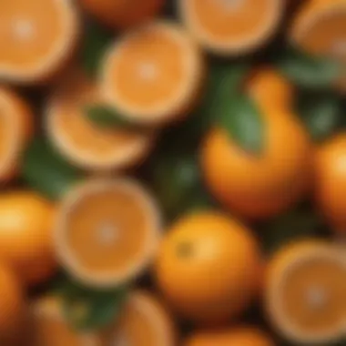 Lush Citrus Fruits Symbolizing Vitamin C Lush citrus fruits symbolizing vitamin C