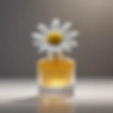 Aesthetic presentation of the scent notes of Daisy Perfume