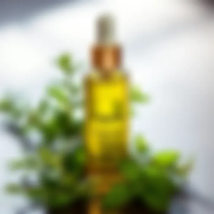 A vibrant bottle of Mielle Rosemary Mint Growth Oil surrounded by fresh rosemary and mint leaves.