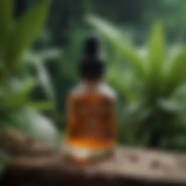 Botanical Elixirs for Pore Purification Natural botanical extracts