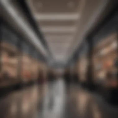 Shopping Experience at Luxury Outlets Trendy shoppers exploring high-end outlet store selections