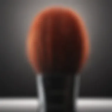 Precision Hair Color Brush