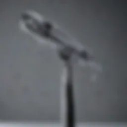 Sculptural curling iron with sleek design