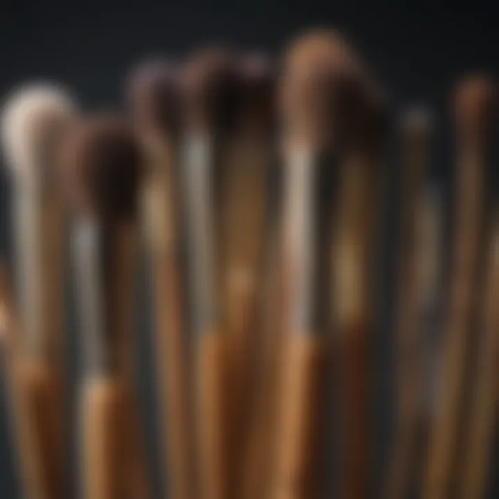 Sustainable Bamboo Handle Brushes