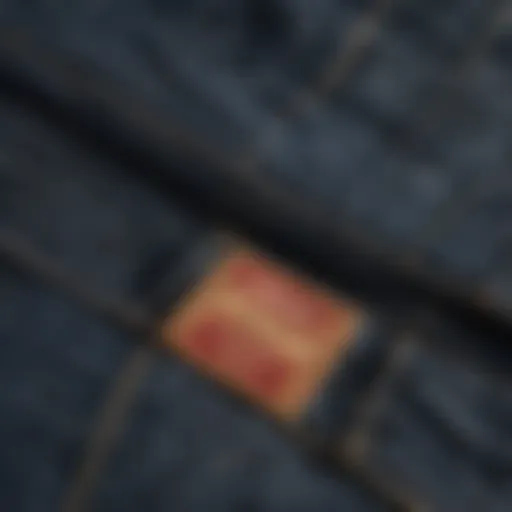 Close-up of Levi's denim fabric showcasing texture and quality