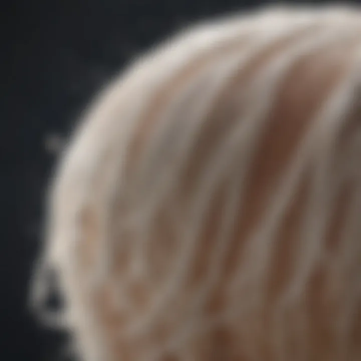 Close-up of a luxurious lathered shampoo