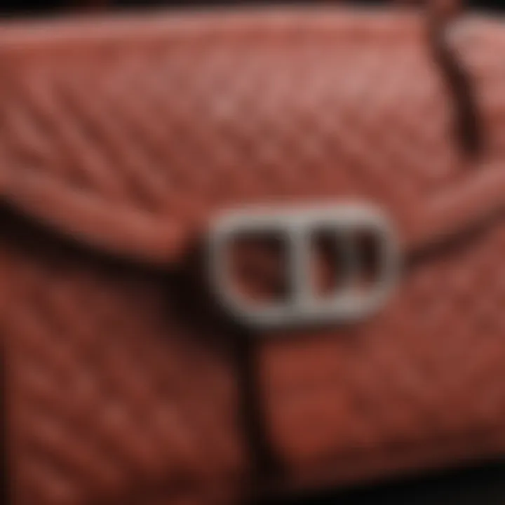 Close-up view of premium handbag materials and textures