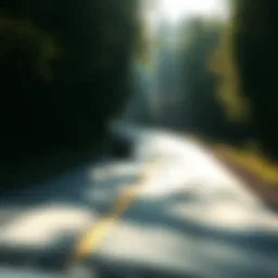 A scenic view of a winding road through a forest with the sun shining