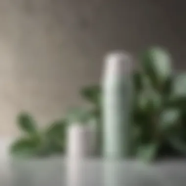 Eucalyptus and Mint Deodorant Roll-On